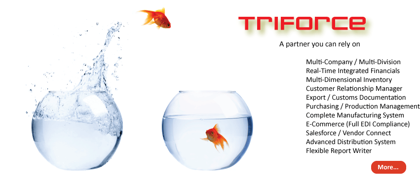 TriForce XP 10 by TSI Systemgroup Inc.